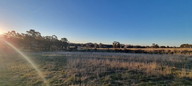 A view of our back paddock
